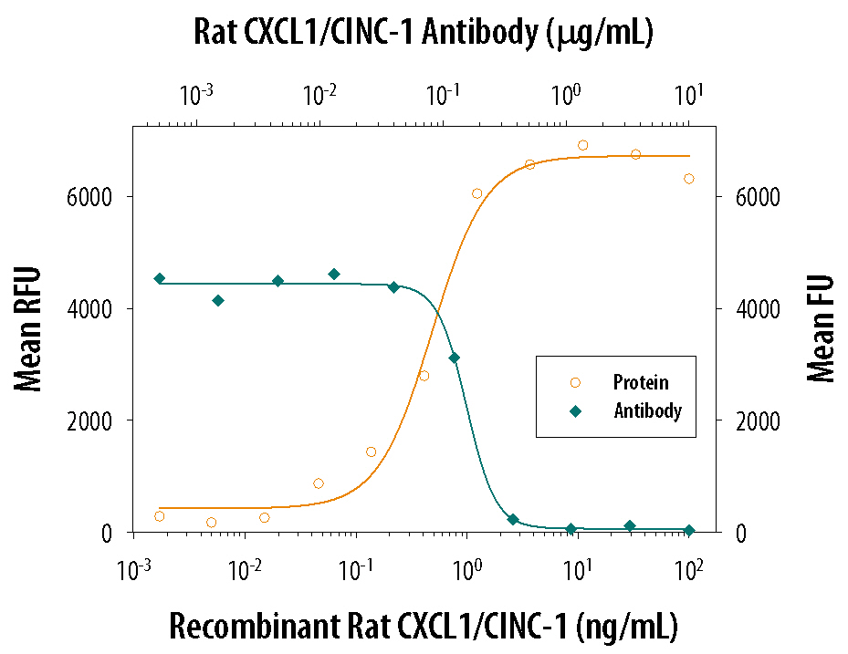Recombinant Rat CXCL1/CINC-1 (Catalog # 515-CN) chemoattracts the BaF3 mouse pro-B cell line transfected with human CXCR2 in a dose-dependent manner (orange line). The amount of cells that migrated through to the lower chemotaxis chamber was measured by Resazurin (Catalog # AR002). Chemotaxis elicited by Recombinant Rat CXCL1/CINC-1 (4 ng/mL) is neutralized (green line) by increasing concentrations of Rat CXCL1/CINC-1 Antigen Affinity-purified Polyclonal Antibody (Catalog # AF-515-NA). The ND50 is typically 0.15-0.75 µg/mL.