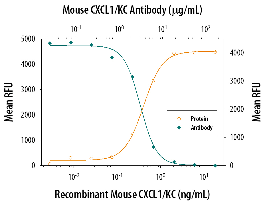 Recombinant Mouse CXCL1/KC (Catalog # 453-KC) chemoattracts the BaF3 mouse pro‑B cell line transfected with human CXCR2 in a dose-dependent manner (orange line). The amount of cells that migrated through to the lower chemotaxis chamber was measured by Resazurin (Catalog # AR002). Chemotaxis elicited by Recombinant Mouse CXCL1/KC (30 ng/mL) is neutralized (green line) by increasing concentrations of Mouse CXCL1/KC Monoclonal Antibody (Catalog # MAB4531). The ND50 is typically 1-5 µg/mL.