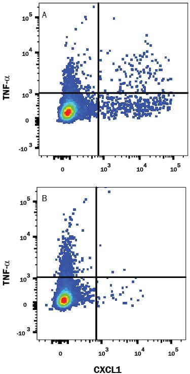 Mouse splenocytes either (A) treated with 1 µg/mL LPS and Brefeldin A for 4 hours or (B) untreated were stained with Rabbit Anti-Mouse CXCL1/GROa/KC/CINC-1 Monoclonal Antibody (Catalog # MAB4532) followed by Phycoerythrin-conjugated Anti-Rabbit IgG Secondary Antibody (Catalog # F0110) and Rat Anti-Mouse TNF-a Fluorescein-conjugated Monoclonal Antibody (Catalog # IC410F). To facilitate intracellular staining, cells were fixed and permeabilized with FlowX FoxP3 Fixation & Permeabilization Buffer Kit (Catalog # FC012).