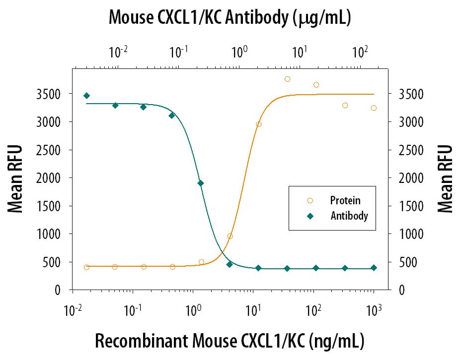 Recombinant Mouse CXCL1/GROa/KC/ CINC-1 aa 20-96 (Catalog # 453-KC) chemoattracts the BaF3 mouse pro-B cell line transfected with human CXCR2 in a dose-dependent manner (orange line). The amount of cells that migrated through to the lower chemotaxis chamber was measured by Resazurin (Catalog # AR002). Chemotaxis elicited by Recombinant Mouse CXCL1/GROa/KC/CINC-1 aa 20-96 (30 ng/mL) is neutralized (green line) by increasing concentrations of Rat Anti-Mouse CXCL1/GROa/KC/CINC-1 Monoclonal Antibody (Catalog # MAB453). The ND50 is typically 0.05-0.25 µg/mL.