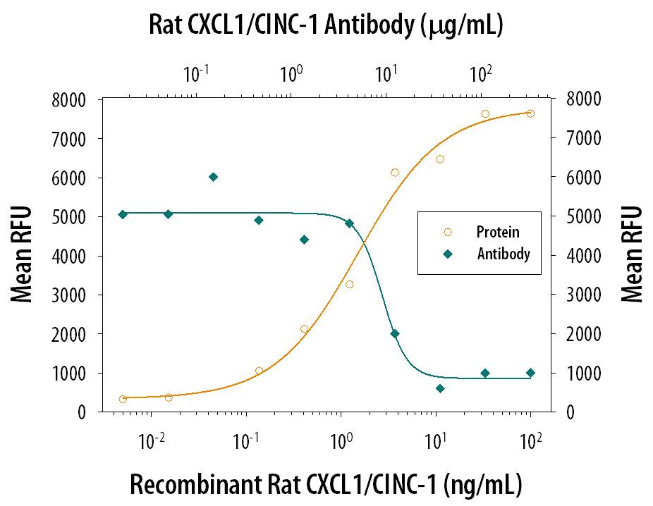 Recombinant Rat CXCL1/CINC-1 (Catalog # 515-CN) chemoattracts the BaF3 mouse pro-B cell line transfected with human CXCR2 in a dose-dependent manner (orange line). The amount of cells that migrated through to the lower chemotaxis chamber was measured by Resazurin (Catalog # AR002). Chemotaxis elicited by Recombinant Rat CXCL1/ CINC-1 (4 ng/mL) is neutralized (green line) by increasing concentrations of Mouse Anti-Rat CXCL1/CINC-1 Monoclonal Antibody (Catalog # MAB515). The ND50 is typically 3-15 µg/mL.