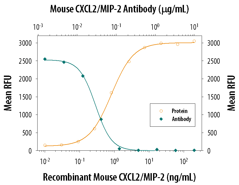 Neutralization CXCL2/GRO beta/MIP-2/CINC-3 Antibody [Unconjugated]