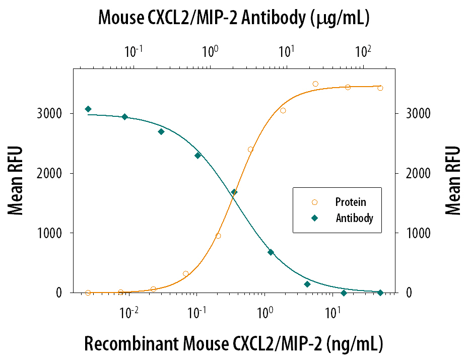 Neutralization CXCL2/GRO beta/MIP-2/CINC-3 Antibody (40605) [Unconjugated]