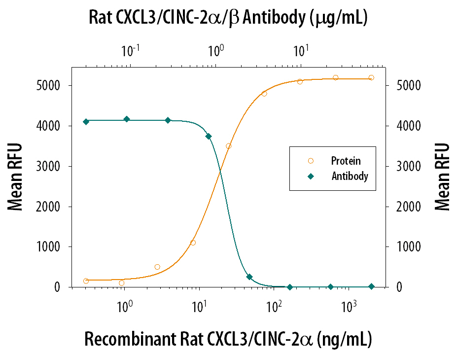 Recombinant Rat CXCL3/ CINC-2a (Catalog # 516-CA) chemoattracts the BaF3 mouse pro-B cell line transfected with human CXCR2 in a dose-dependent manner (orange line). The amount of cells that migrated through to the lower chemotaxis chamber was measured by Resazurin (Catalog # AR002). Chemotaxis elicited by Recombinant Rat CXCL3/ CINC-2a (0.05 µg/mL) is neutralized (green line) by increasing concentrations of Goat Anti-Rat CXCL3/ CINC-2a/ beta  Antigen Affinity-purified Polyclonal Antibody (Catalog # AF516). The ND50 is typically 0.5-2.0 µg/mL.