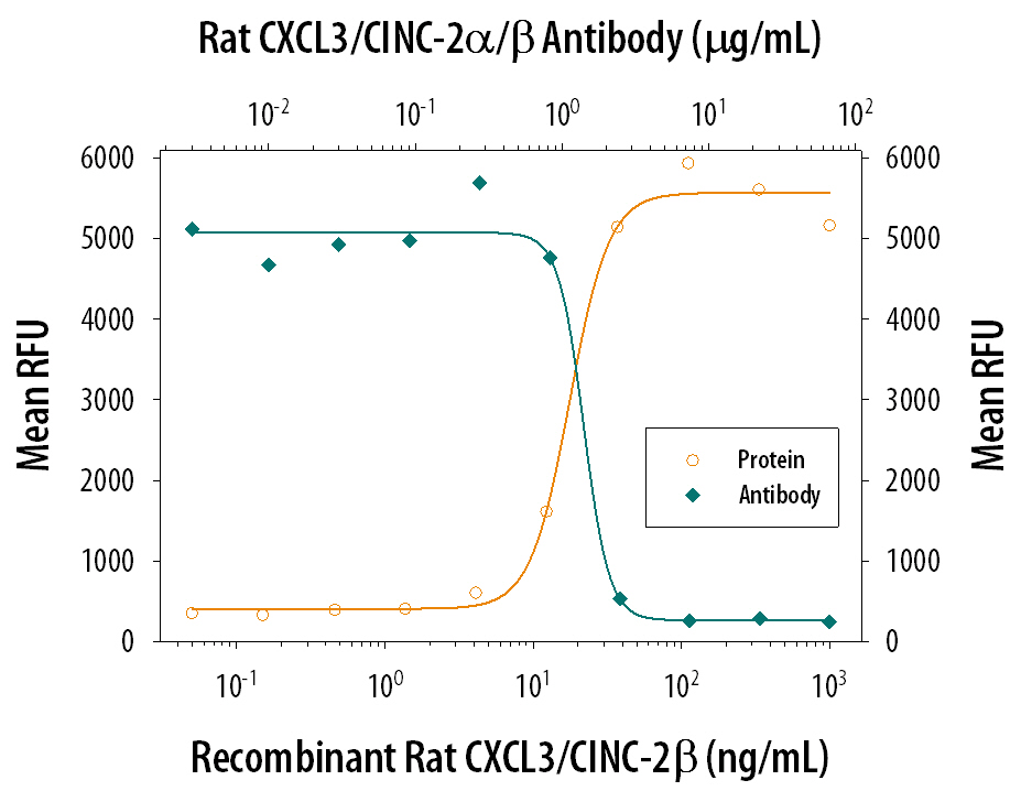 Recombinant Rat CXCL3/ CINC-2 beta  (Catalog # 517-CB) chemoattracts the BaF3 mouse pro-B cell line transfected with human CXCR2 in a dose-dependent manner (orange line). The amount of cells that migrated through to the lower chemotaxis chamber was measured by Resazurin (Catalog # AR002). Chemotaxis elicited by Recombinant Rat CXCL3/ CINC-2 beta  (0.05 µg/mL) is neutralized (green line) by increasing concentrations of Goat Anti-Rat CXCL3/ CINC-2a/ beta  Antigen Affinity-purified Polyclonal Antibody (Catalog # AF517). The ND50 is typically 0.4-2.0 µg/mL.