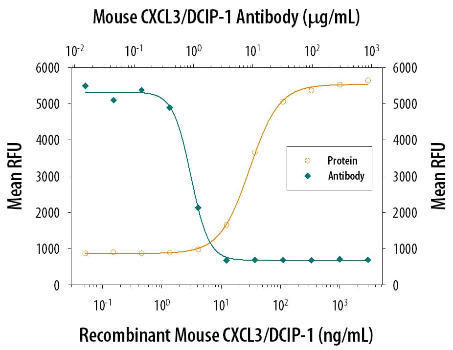 Recombinant Mouse CXCL3/DCIP-1 (Catalog # 5568-CA) chemo-attracts the BaF3 mouse pro-B cell line transfected with human CXCR2 in a dose-dependent manner (orange line). The amount of cells that migrated through to the lower chemotaxis chamber was measured by Resazurin (Catalog # AR002). Chemotaxis elicited by Recombinant Mouse CXCL3/ DCIP-1 (100 ng/mL) is neutralized (green line) by increasing concentrations of Sheep Anti-Mouse CXCL3/ DCIP-1 Antigen Affinity-purified Polyclonal Antibody (Catalog # AF5568). The ND50 is typically 0.5-3 µg/mL.