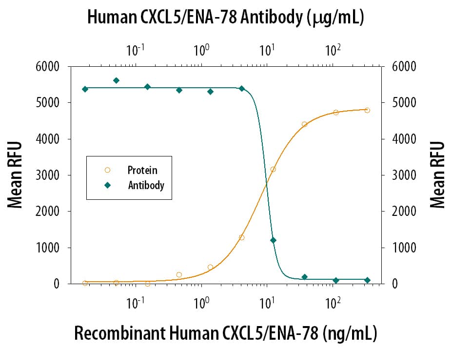 Recombinant Human CXCL5/ENA-78 (Catalog # 254-XB) chemo-attracts the BaF3 mouse pro-B cell line transfected with human CXCR2 in a dose-dependent manner (orange line). The amount of cells that migrated through to the lower chemotaxis chamber was measured by Resazurin (Catalog # AR002). Chemotaxis elicited by Recombinant Human CXCL5/ ENA-78 (30 ng/mL) is neutralized (green line) by increasing concentrations of Goat Anti-Human CXCL5/ ENA-78 Polyclonal Antibody (Catalog # AB-254-PB). The ND50 is typically 4-16 µg/mL.