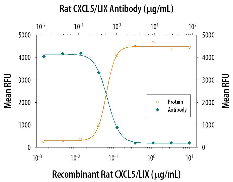 Recombinant Rat LIX (Catalog # 543-RL) chemo-attracts the BaF3 mouse pro-B cell line transfected with human CXCR2 in a dose-dependent manner (orange line). The amount of cells that migrated through to the lower chemotaxis chamber was measured by Resazurin (Catalog # AR002). Chemotaxis elicited by Recombinant Rat LIX (0.2 µg/mL) is neutralized (green line) by increasing concentrations of Goat Anti-Rat LIX Antigen Affinity-purified Polyclonal Antibody (Catalog # AF543). The ND50 is typically 0.3-1.5 µg/mL.
