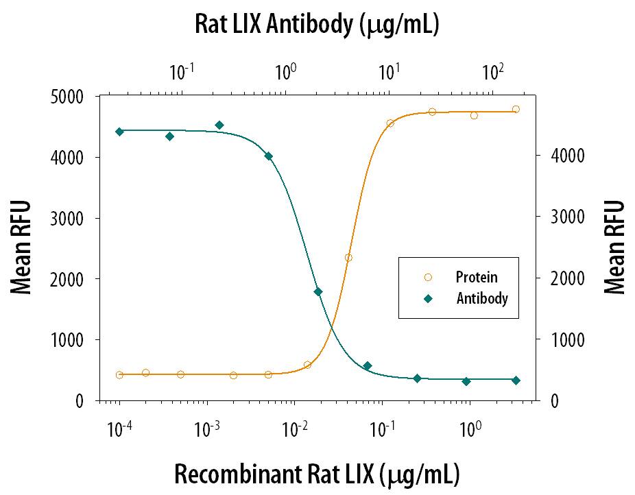 Recombinant Rat LIX (Catalog # 543-RL) chemo-attracts the BaF3 mouse pro-B cell line transfected with human CXCR2 in a dose-dependent manner (orange line). The amount of cells that migrated through to the lower chemotaxis chamber was measured by Resazurin (Catalog # AR002). Chemotaxis elicited by Recombinant Rat LIX (0.2 µg/mL) is neutralized (green line) by increasing concen-trations of Rat LIX Monoclonal Antibody (Catalog # MAB543). The ND50 is typically 1-5 µg/mL.