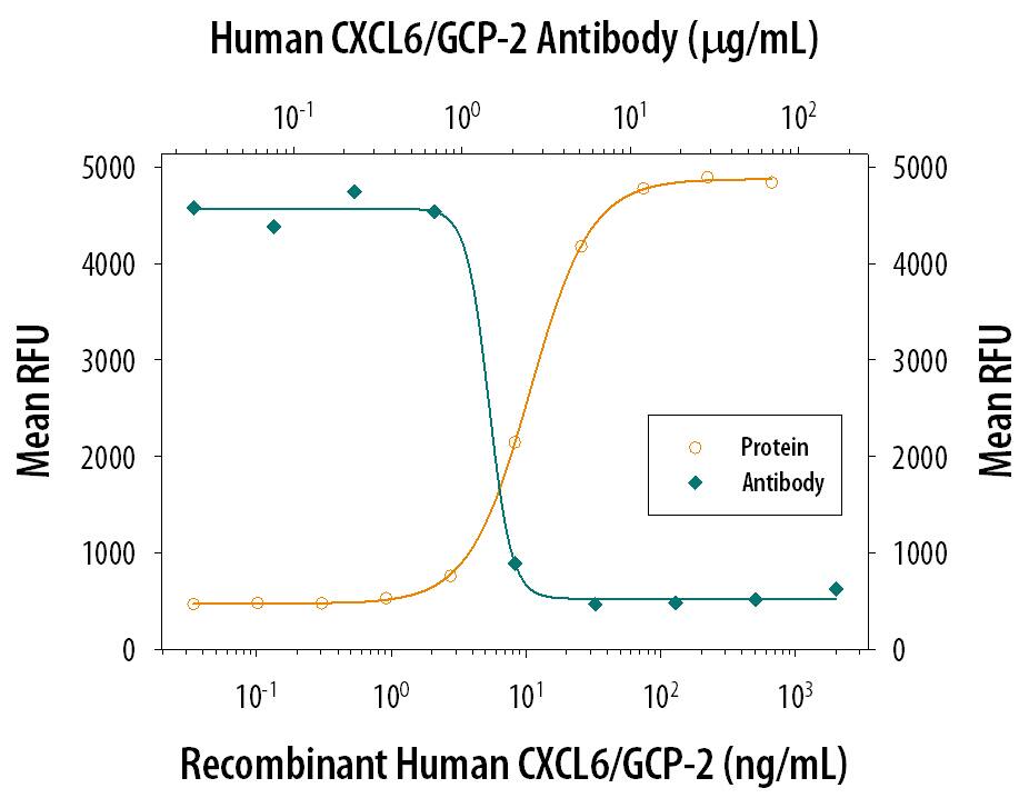 Recombinant Human CXCL6/ GCP-2 (Catalog # 333-GC) chemoattracts the BaF3 mouse pro-B cell line transfected with human CXCR2 in a dose-dependent manner (orange line). The amount of cells that migrated through to the lower chemotaxis chamber was measured by Resazurin (Catalog # AR002). Chemotaxis elicited by Recombinant Human CXCL6/ GCP-2 (80 ng/mL) is neutral-ized (green line) by increasing concentrations of Goat Anti-Human CXCL6/GCP-2 Antigen Affinity-purified Polyclonal Antibody (Catalog # AF333). The ND50 is typically 0.8-4.0 µg/mL.