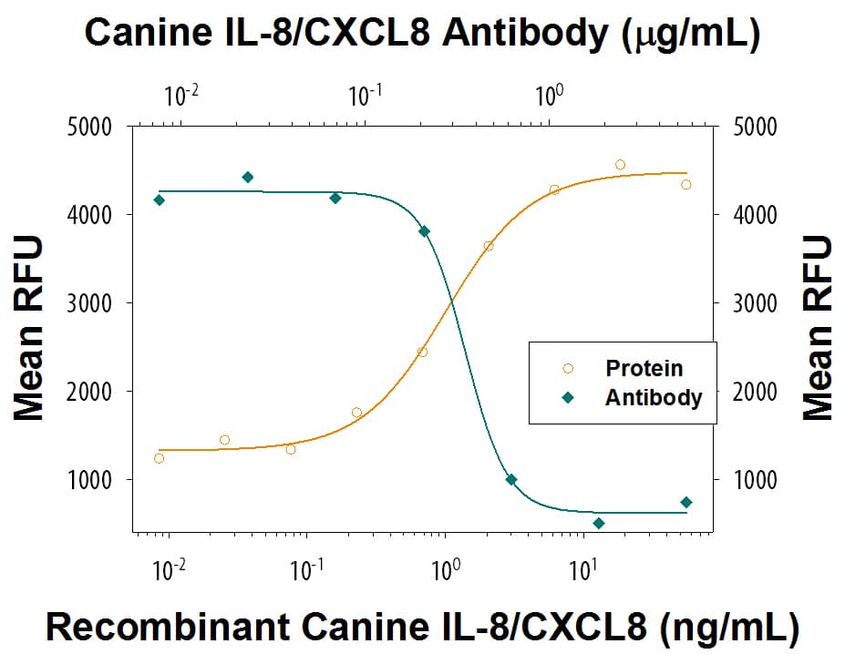 Recombinant Canine IL-8/CXCL8 (Catalog # 1608-CL) chemoattracts the BaF3 mouse pro-B cell line transfected with human CXCR2 in a dose-dependent manner (orange line). The amount of cells that migrated through to the lower chemotaxis chamber was measured by Resazurin (Catalog # AR002). Chemotaxis elicited by Recombinant Canine IL-8/CXCL8 (10 ng/mL) is neutralized (green line) by increasing concentrations of Goat Anti-Canine IL-8/CXCL8 Antigen Affinity-purified Polyclonal Antibody (Catalog # AF1608). The ND50 is typically 0.1-0.5 µg/mL.