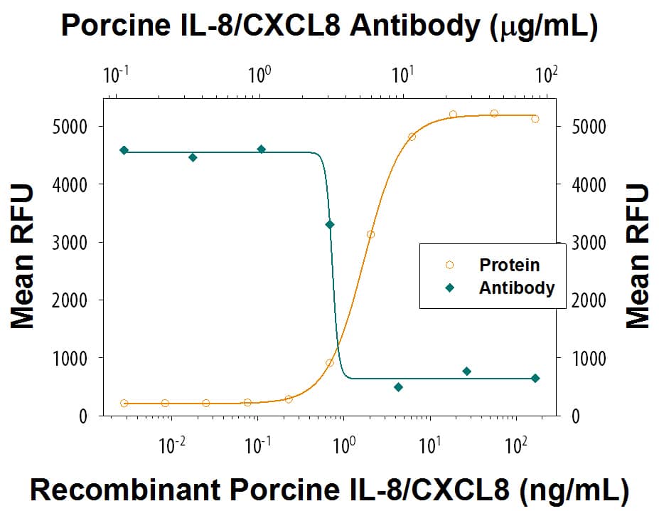 Recombinant Porcine IL-8/CXCL8 (Catalog # 535-IN) chemoattracts the BaF3 mouse pro-B cell line transfected with human CXCR2 in a dose-dependent manner (orange line). The amount of cells that migrated through to the lower chemotaxis chamber was measured by Resazurin (Catalog # AR002). Chemotaxis elicited by Recombinant Porcine IL-8/CXCL8 (50 ng/mL) is neutralized (green line) by increasing concentrations of Goat Anti-Porcine IL-8/CXCL8 Antigen Affinity-purified Polyclonal Antibody (Catalog # AF535). The ND50 is typically 1.5-7.5 µg/mL.