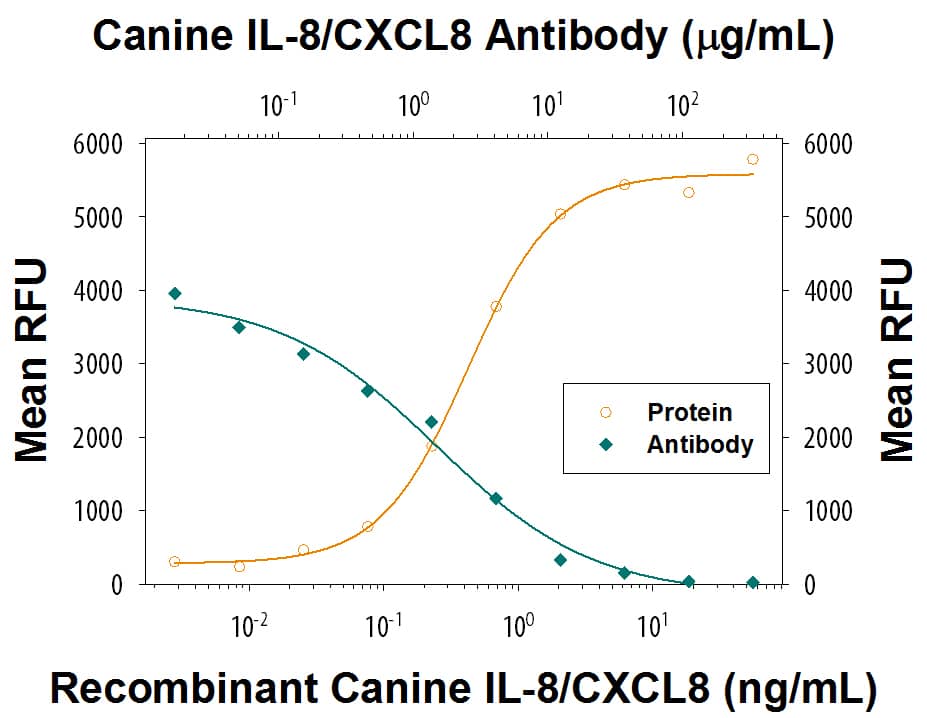 Recombinant Canine CXCL8/IL-8 (Catalog # 1608-CL) chemoattracts the BaF3 mouse pro-B cell line transfected with human CXCR2 in a dose-dependent manner (orange line). The amount of cells that migrated through to the lower chemotaxis chamber was measured by Resazurin (Catalog # AR002). Chemotaxis elicited by Recombinant Canine CXCL8/IL-8 (10 ng/mL) is neutralized (green line) by increasing concentrations of Canine CXCL8/IL-8 Monoclonal Antibody (Catalog # MAB16081). The ND50 is typically 3-12 µg/mL.