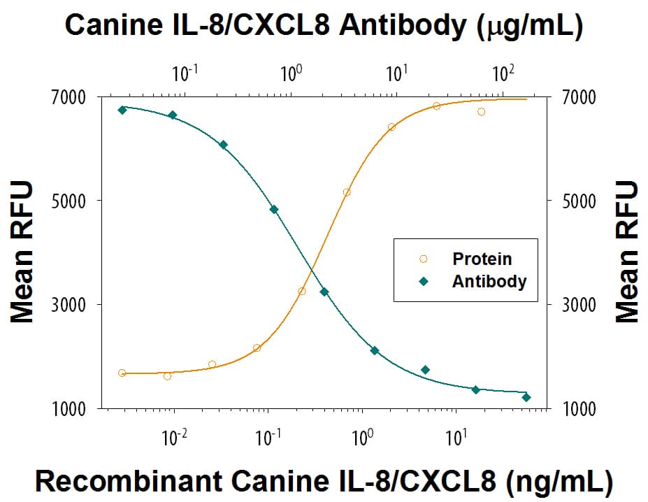 Recombinant Canine IL-8/CXCL8 (Catalog # 1608-CL) chemoattracts the BaF3 mouse pro-B cell line transfected with human CXCR2 in a dose-dependent manner (orange line). The amount of cells that migrated through to the lower chemotaxis chamber was measured by Resazurin (Catalog # AR002). Chemotaxis elicited by Recombinant Canine IL-8/CXCL8 (10 ng/mL) is neutralized (green line) by increasing concentrations of Mouse Anti-Canine IL-8/CXCL8 Monoclonal Antibody (Catalog # MAB1608). The ND50 is typically 0.3-1.2 µg/mL.