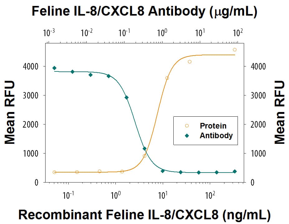 Recombinant Feline IL-8/CXCL8 (Catalog # 2277-FL) chemoattracts the BaF3 mouse pro-B cell line transfected with human CXCR2 in a dose-dependent manner (orange line). The amount of cells that migrated through to the lower chemotaxis chamber was measured by Resazurin (Catalog # AR002). Chemotaxis elicited by Recombinant Feline IL-8/CXCL8 (20 ng/mL) is neutralized (green line) by increasing concentrations of Rat Anti-Feline IL-8/CXCL8 Monoclonal Antibody (Catalog # MAB22772). The ND50 is typically 0.075-0.375 µg/mL.