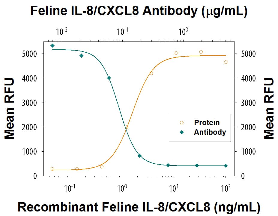 Recombinant Feline CXCL8/IL-8 (Catalog # 2277-FL) chemo-attracts the BaF3 mouse pro-B cell line transfected with human CXCR2 in a dose-dependent manner (orange line). The amount of cells that migrated through to the lower chemotaxis chamber was measured by Resazurin (Catalog # AR002). Chemotaxis elicited by Recombinant Feline IL-8/CXCL8 (20 ng/mL) is neutralized (green line) by increasing concentrations of Rat Anti-Feline IL-8/CXCL8 Monoclonal Antibody (Catalog # MAB2277). The ND50 is typically 0.08-0.32 µg/mL.