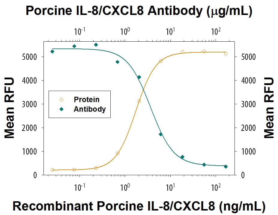 Recombinant Porcine IL-8/CXCL8 (Catalog # 535-IN) chemoattracts the BaF3 mouse pro-B cell line transfected with human CXCR2 in a dose-dependent manner (orange line). The amount of cells that migrated through to the lower chemotaxis chamber was measured by Resazurin (Catalog # AR002). Chemotaxis elicited by Recombinant Porcine IL-8/CXCL8 (50 ng/mL) is neutralized (green line) by increasing concentrations of Porcine IL-8/CXCL8 Monoclonal Antibody (Catalog # MAB5351). The ND50 is typically 1-6 µg/mL.