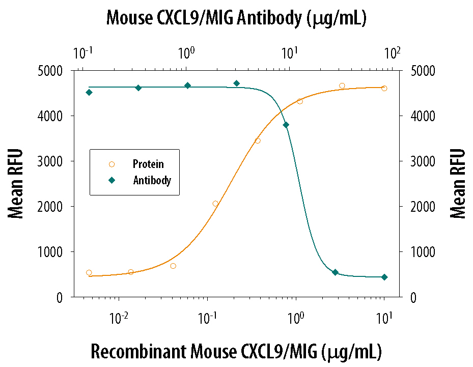 Recombinant Mouse CXCL9/MIG (Catalog # 492-MM) chemoattracts the BaF3 mouse pro-B cell line transfected with mouse CXCR3 in a dose-dependent manner (orange line). The amount of cells that migrated through to the lower chemotaxis chamber was measured by Resazurin (Catalog # AR002). Chemotaxis elicited by Recombinant Mouse CXCL9/MIG (1 µg/mL) is neutralized (green line) by increasing concentrations of Goat Anti-Mouse CXCL9/MIG Antigen Affinity-purified Polyclonal Antibody (Catalog # AF-492-NA). The ND50 is typically 6-20 µg/mL.