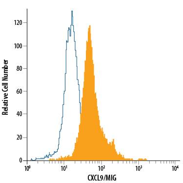 THP-1 human acute monocytic leukemia cell line treated with Recombinant Human IFN-gamma (Catalog # <a class=