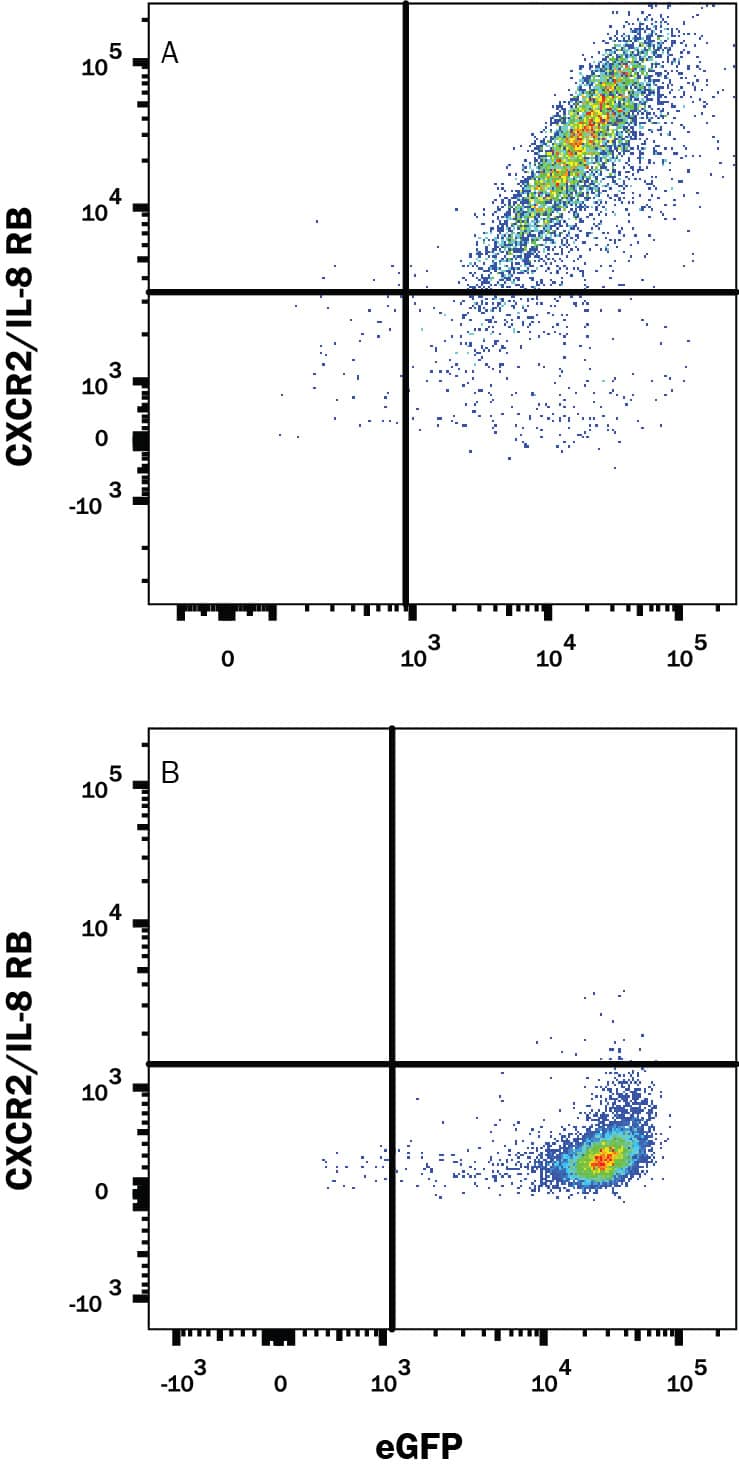 Flow Cytometry CXCR2/IL-8RB Antibody (242216) [Unconjugated]