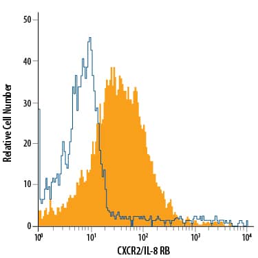 Rat peripheral blood granulocytes were stained with Mouse Anti-Rat CXCR2/IL-8 RB Monoclonal Antibody (Catalog # MAB8110, filled histogram) or isotype control antibody (Catalog # MAB0041, open histogram), followed by Phycoerythrin-conjugated Anti-Mouse IgG Secondary Antibody (Catalog # F0102B).