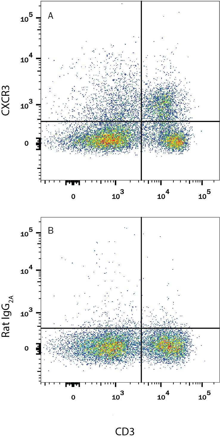 Mouse splenocytes were stained with Rat Anti-Mouse CD3 PE-conjugated Monoclonal Antibody (Catalog # FAB4841P) and either (A) Rat Anti-Mouse CXCR3 APC-conjugated Monoclonal Antibody (Catalog # FAB1685A) or (B) Rat IgG2AAllophycocyanin Isotype Control (Catalog # IC006A). View our protocol for Staining Membrane-associated Proteins.