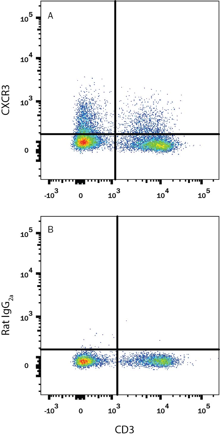 Mouse splenocytes were stained with Rat Anti-Mouse CD4 APC-conjugated Monoclonal Antibody (FAB554A) and either (A) Rat Anti-Mouse CXCR3 Alexa Fluor® 488-conjugated Monoclonal Antibody (Catalog # FAB1685G) or (B) Rat IgG2AAlexa Fluor 488 Isotype Control (IC006G). View our protocol for Staining Membrane-associated Proteins.