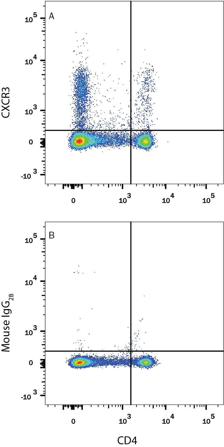 Rat splenocytes were stained with anti-rat CD4 FITC-conjugated antibody and either (A) Mouse Anti-Rat CXCR3 APC-conjugated Monoclonal Antibody (Catalog # FAB8109A) or (B) Mouse IgG2BAllophycocyanin Isotype Control (Catalog # IC0041A). View our protocol for Staining Membrane-associated Proteins.