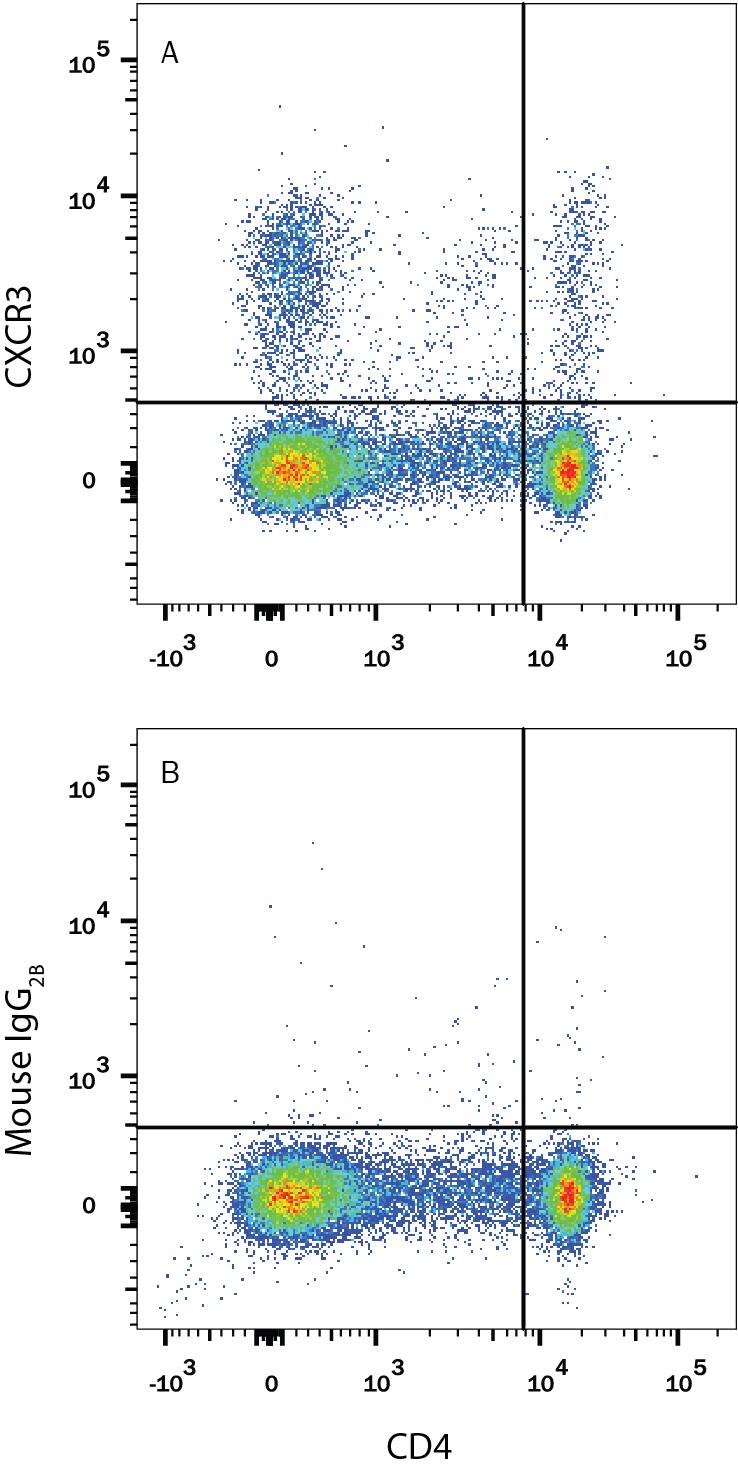 Rat splenocytes were stained with anti-rat CD4 APC-conjugated antibody and either (A) Mouse Anti-Rat CXCR3 PE-conjugated Monoclonal Antibody (Catalog # FAB8109P) or (B) Mouse IgG2BPhycoerythrin Isotype Control (Catalog # IC0041P). View our protocol for Staining Membrane-associated Proteins.
