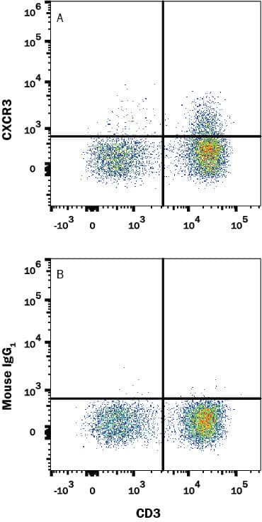Human PBMC lymphocytes were stained with (A) Mouse Anti-Human CXCR3 Monoclonal Antibody (Catalog # MAB160) or (B) Mouse IgG1 isotype control antibody (MAB002) followed by PE-conjugated anti-Mouse IgG Secondary Antibody (F0102B) and Mouse Anti-Human CD3 epsilon APC-conjugated Monoclonal Antibody (FAB100A).View our protocol for Staining Membrane-associated Proteins.