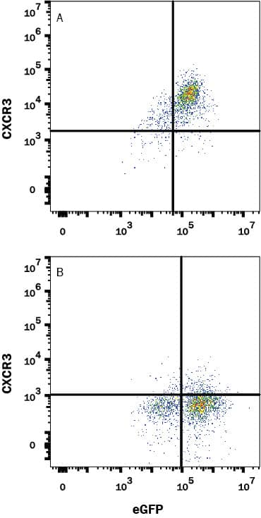 Flow Cytometry CXCR3 Antibody (49801) [Unconjugated]