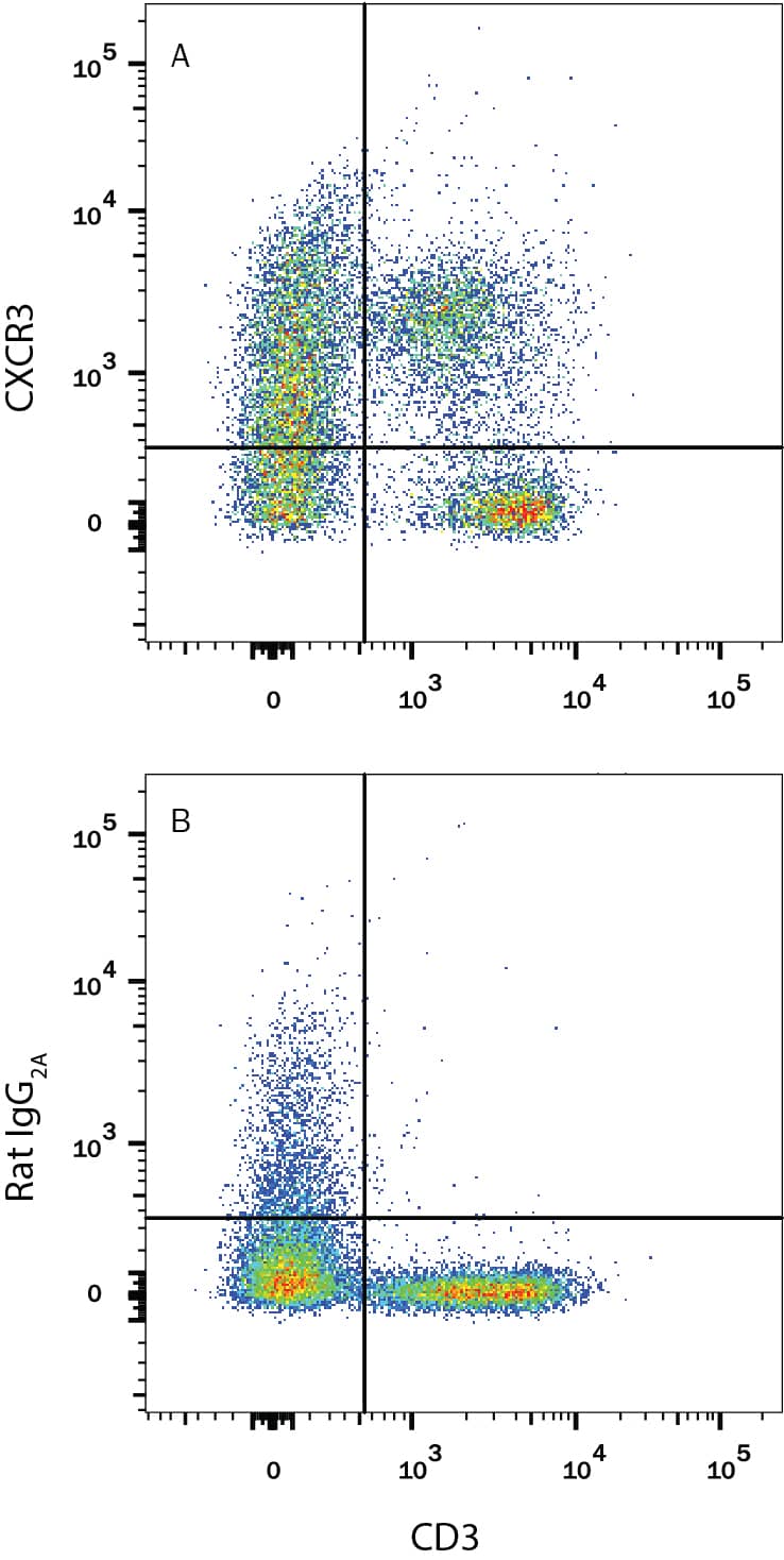 Mouse splenocytes were stained with Rat Anti-Mouse CD3 APC-conjugated Monoclonal Antibody (Catalog # FAB4841A) and either (A) Rat Anti-Mouse CXCR3 Monoclonal Antibody (Catalog # MAB1685) or (B) Rat IgG2AIsotype Control (Catalog # MAB006) followed by Phycoerythrin-conjugated Anti-Rat IgG Secondary Antibody (Catalog # F0105B). View our protocol for Staining Membrane-associated Proteins.