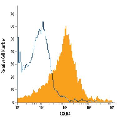 Human peripheral blood lymphocytes were stained with Mouse Anti-Human CXCR4 APC-conjugated Monoclonal Antibody (Catalog # FAB173A, filled histogram) or isotype control antibody (Catalog # IC0041A, open histogram). View our protocol for Staining Membrane-associated Proteins.
