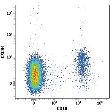 Human peripheral blood lymphocytes were stained with Mouse Anti-Human CXCR4 APC-conjugated Monoclonal Antibody (Catalog # FAB173A) and Mouse Anti-Human CD19 PE-conjugated Monoclonal Antibody (Catalog # FAB4867P). View our protocol for Staining Membrane-associated Proteins.