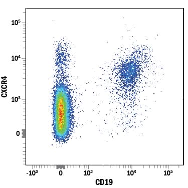 Human peripheral blood lymphocytes were stained with Mouse Anti-Human CXCR4 PE-conjugated Monoclonal Antibody (Catalog # FAB173P) and Mouse Anti-Human CD19 APC-conjugated Monoclonal Antibody (FAB4867A) for 15 minutes at 37°C followed by 15 minutes at room temperature. View our protocol for Staining Membrane-associated Proteins.