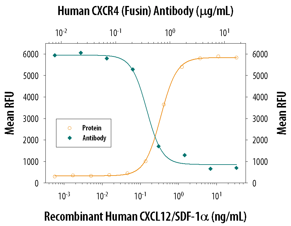 Recombinant Human/ Feline/Rhesus Macaque CXCL12/SDF-1a (Catalog # 350-NS) chemoattracts the BaF3 mouse pro-B cell line transfected with human CXCR4 in a dose-dependent manner (orange line). The amount of cells that migrated through to the lower chemotaxis chamber was measured by Resazurin (Catalog # AR002). Chemotaxis elicited by Recombinant Human/Feline/ Rhesus Macaque CXCL12/ SDF-1a (1 ng/mL) is neutralized (green line) by increasing concentrations of Human CXCR4 Monoclonal Antibody (Catalog # MAB170). The ND50 is typically 0.3-1.2 µg/mL.