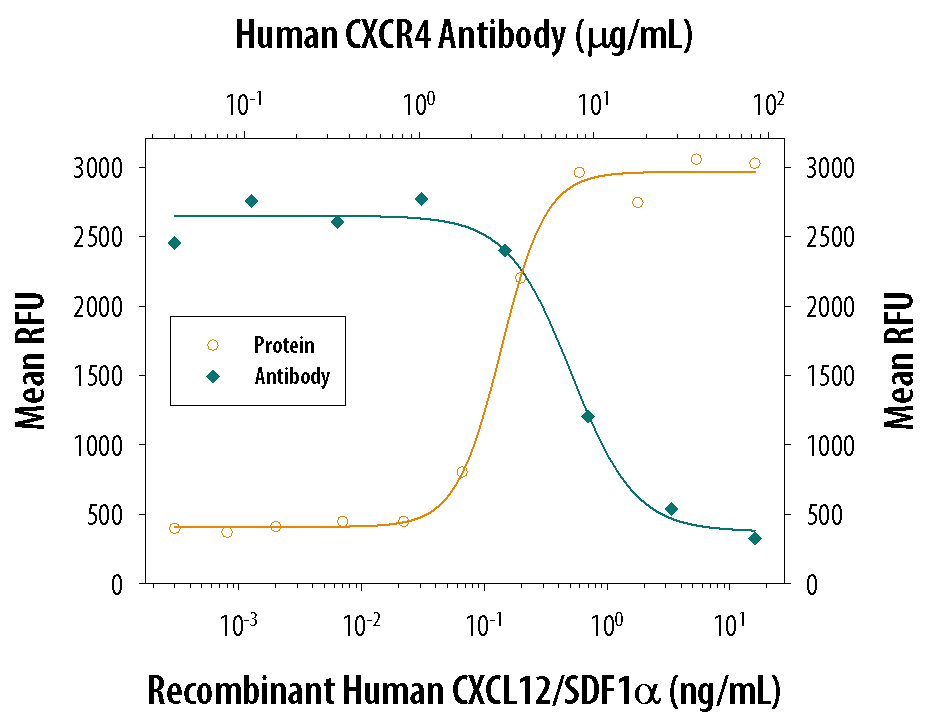Recombinant Human/Feline/Rhesus Macaque CXCL12/SDF-1a (Catalog # 350-NS) chemoattracts the BaF3 mouse pro-B cell line transfected with human CXCR4 in a dose-dependent manner (orange line). The amount of cells that migrated through to the lower chemotaxis chamber was measured by Resazurin (Catalog # AR002). Chemotaxis elicited by Recombinant Human/Feline/Rhesus Macaque CXCL12/SDF-1a (1 ng/mL) is neutralized (green line) by increasing concentrations of Mouse Anti-Human CXCR4 Monoclonal Antibody (Catalog # MAB172). The ND50 is typically 2.5-12 µg/mL.