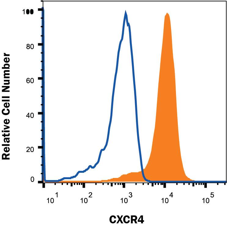 Mouse thymocytes were stained with Rat Anti-Mouse CXCR4 Monoclonal Antibody (Catalog # MAB21651R, filled histogram) or Rat IgG2B isotype control antibody (Catalog # MAB0061, open histogram) followed by Goat anti-Rat IgG PE-conjugated Secondary Antibody (Catalog # F0105B). View our protocol for Staining Membrane-associated Proteins.