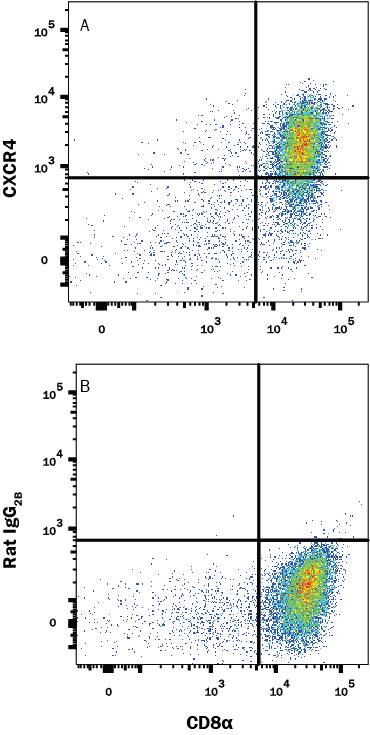 Mouse thymocytes were stained with (A) Rat Anti-Mouse CXCR4 Monoclonal Antibody (Catalog # MAB21651) or (B) Rat IgG2B isotype control antibody (Catalog # MAB0061) followed by anti-Rat IgG PE-conjugated Secondary Antibody (Catalog # F0105B) and Rat anti-Mouse CD8 alpha APC-conjugated Monoclonal Antibody (Catalog # FAB116A). View our protocol for Staining Membrane-associated Proteins.