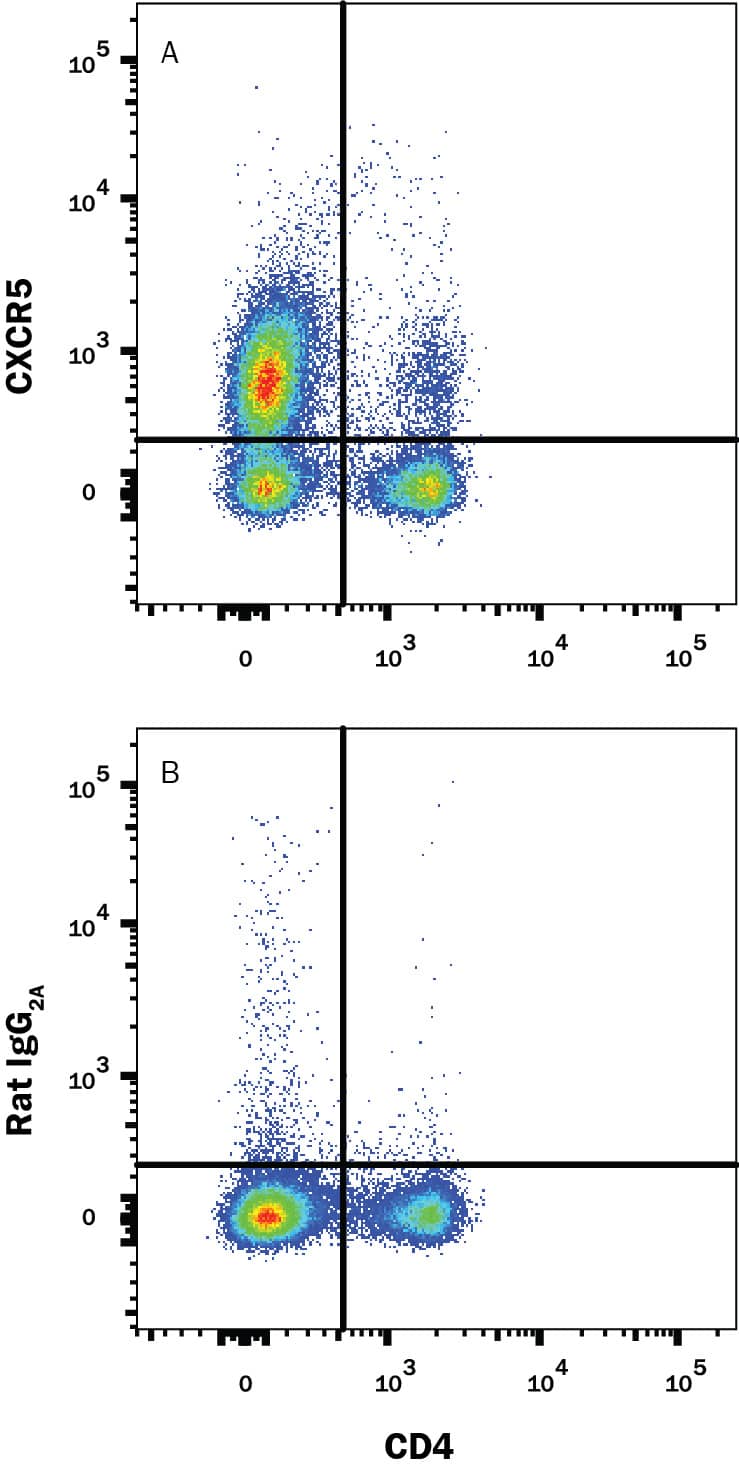 Mouse T follicular helper cells from immunized Balb/c mice were stained with Rat Anti-Mouse CD4 Alexa Fluor® 405-conjugated Monoclonal Antibody (Catalog # FAB554V) and either (A) Rat Anti-Mouse CXCR5 APC-conjugated Monoclonal Antibody (Catalog # FAB6198A) or (B) Rat IgG2AAllophycocyanin Isotype Control (Catalog # IC006A). View our protocol for Staining Membrane-associated Proteins.
