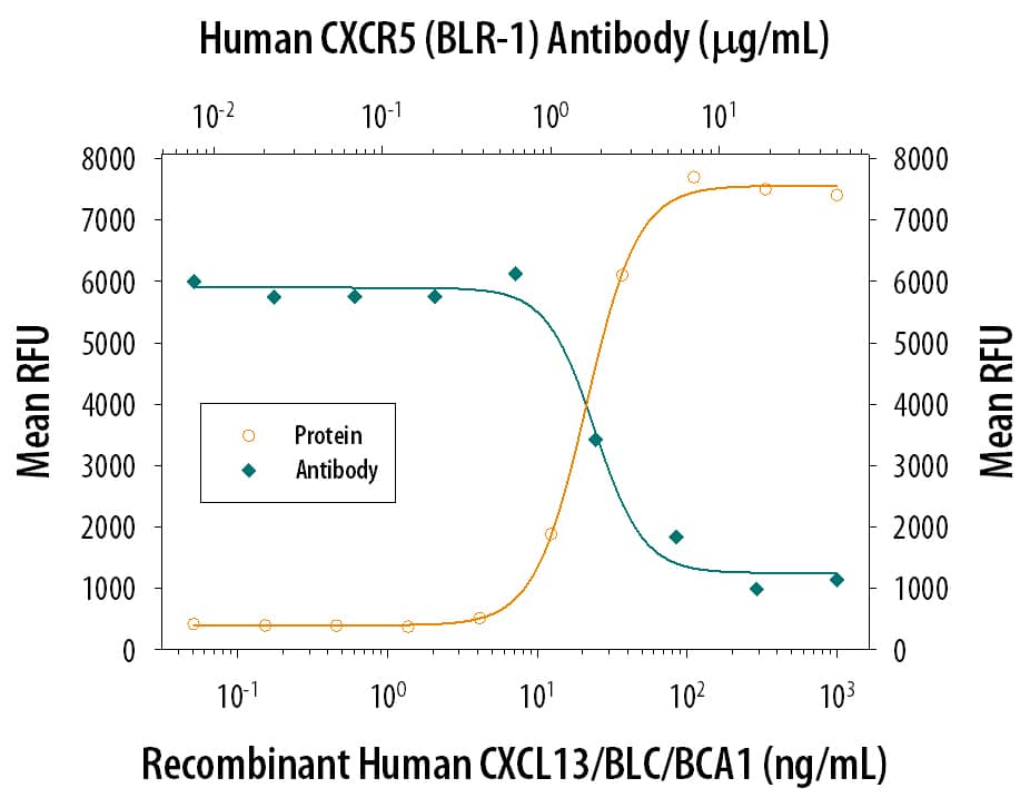 Recombinant Human CXCL13/BLC/BCA-1 (Catalog # 801-CX) chemoattracts the BaF3 mouse pro-B cell line transfected with human CXCR5 in a dose-dependent manner (orange line). The amount of cells that migrated through to the lower chemotaxis chamber was measured by Resazurin (Catalog # AR002). Chemotaxis elicited by Recombinant Human CXCL13/BLC/BCA-1 (0.05 µg/mL) is neutralized (green line) by increasing concentrations of Mouse Anti-Human CXCR5 Monoclonal Antibody (Catalog # MAB190). The ND50 is typically 0.25-1.5 µg/mL.