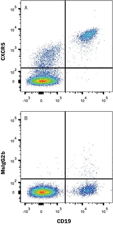 Flow Cytometry CXCR5 Antibody (51505) [Unconjugated]
