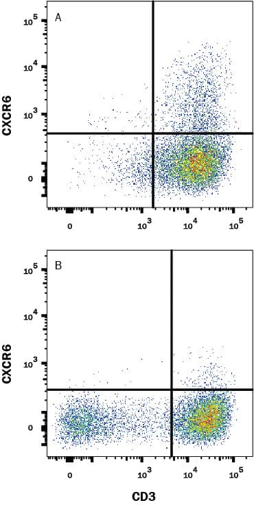 <b>Biological Strategies Validation. </b>Human peripheral blood mononuclear cells (PBMCs) either (A) treated with 20 ng/mL Recombinant Human IL-2 (Catalog # 202-IL) for 6 days or (B) untreated were stained with Mouse Anti-Human CXCR6 Monoclonal Antibody (Catalog # MAB699R) followed by Allophycocyanin-conjugated Anti-Mouse IgG Secondary Antibody (Catalog # F0101B) and Mouse Anti-Human CD3 epsilon PE-conjugated Monoclonal Antibody (Catalog # FAB100P). Quadrant markers were set based on control antibody staining (Catalog # MAB0041). View our protocol for Staining Membrane-associated Proteins.