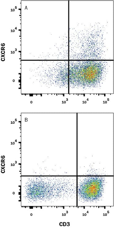 Flow Cytometry CXCR6 Antibody (56811) [Unconjugated]