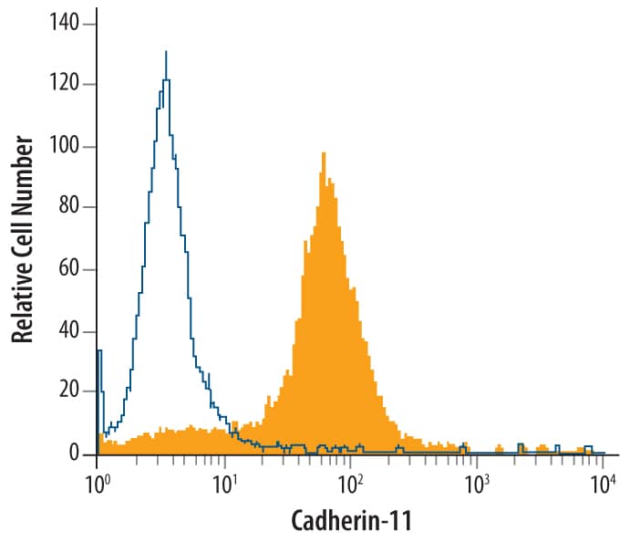 PC-3 human prostate cancer cell line was stained with Mouse Anti-Human Cadherin-11 Monoclonal Antibody (Catalog # MAB17901, filled histogram) or isotype control antibody (Catalog # MAB003, open histogram), followed by Phycoerythrin-conjugated Anti-Mouse IgG Secondary Antibody (Catalog # F0102B). Cells were stained in a buffer containing Ca2+and Mg2+.