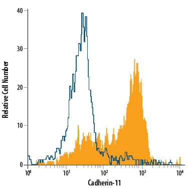 PC-3 human prostate cancer cell line was stained with Mouse Anti-Human Cadherin-11 APC-conjugated Monoclonal Antibody (Catalog # FAB17901A, filled histogram) or isotype control antibody (Catalog # IC003A, open histogram). Cells were stained in a buffer containing Ca2+and Mg2+. View our protocol for Staining Membrane-associated Proteins.