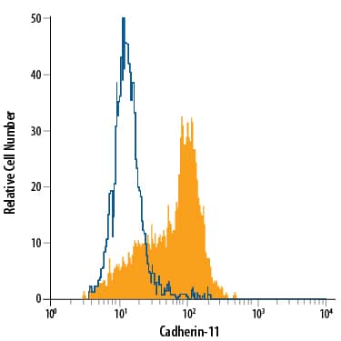 PC-3 human prostate cancer cell line was stained with Mouse Anti-Human Cadherin-11 Alexa Fluor® 488-conjugated Monoclonal Antibody (Catalog # FAB17901G, filled histogram) or isotype control antibody (Catalog # IC003G, open histogram). Cells were stained in a buffer containing Ca2+and Mg2+. View our protocol for Staining Membrane-associated Proteins.