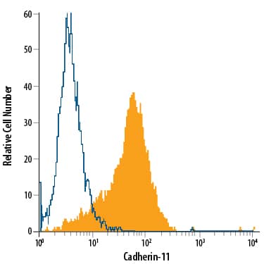 PC-3 human prostate cancer cell line was stained with Mouse Anti-Human Cadherin-11 PE-conjugated Monoclonal Antibody (Catalog # FAB17901P, filled histogram) or isotype control antibody (Catalog # IC003P, open histogram). Cells were stained in a buffer containing Ca2+and Mg2+. View our protocol for Staining Membrane-associated Proteins.