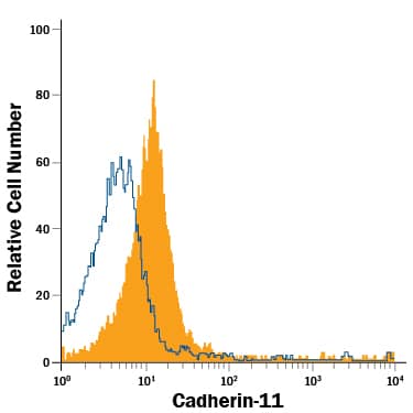 PC-3 human prostate cancer cell line was stained with Goat Anti-Human Cadherin-11 PE-conjugated Antigen Affinity-purified Polyclonal Antibody (Catalog # FAB1790P, filled histogram) or isotype control antibody (Catalog # IC108P, open histogram). View our protocol for Staining Membrane-associated Proteins.