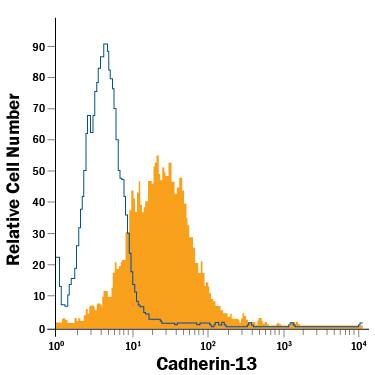 NCI-H460 human large cell lung carcinoma cell line was stained with Rat Anti-Human Cadherin-13 PE-conjugated Monoclonal Antibody (Catalog # FAB3264P, filled histogram) or isotype control antibody (Catalog # IC006P, open histogram). View our protocol for Staining Membrane-associated Proteins.